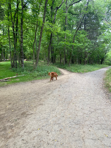 Tourist Attraction «Wabash Frisco & Pacific Railway», reviews and photos, 101 Grand Ave, Glencoe, MO 63038, USA