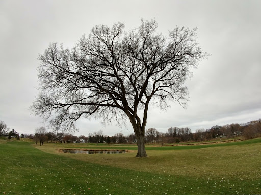 Golf Course «Hiawatha Golf Course», reviews and photos, 4553 Longfellow Ave, Minneapolis, MN 55407, USA