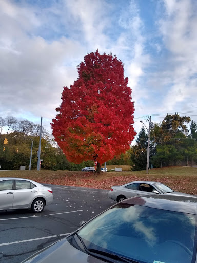 Bowling Alley «Crossgate Lanes», reviews and photos, 4230 Hunt Rd, Blue Ash, OH 45242, USA