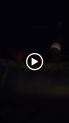 Mexican Grocery Store «San Miguel Mexican Store And Taqueria», reviews and photos, 2024 54th Ave E, Fife, WA 98424, USA