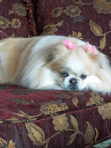 Benewah Veterinary Clinic image