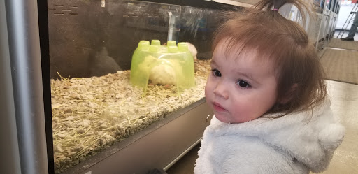 Pet Supply Store «Pet Supplies Plus», reviews and photos, 1970 Portage Trail, Cuyahoga Falls, OH 44223, USA