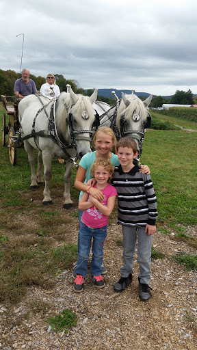 Produce Market «Saunderskill Farms», reviews and photos, 5100 US-209, Accord, NY 12404, USA