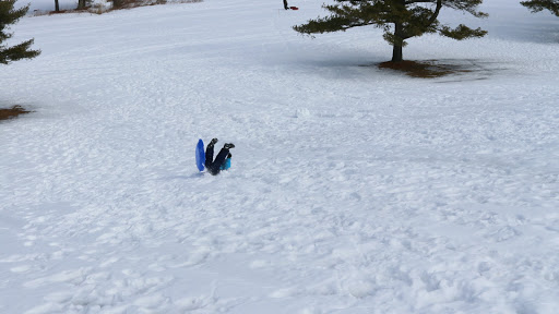 Golf Course «Riverside Municipal Golf Course», reviews and photos, 1158 Riverside St, Portland, ME 04103, USA