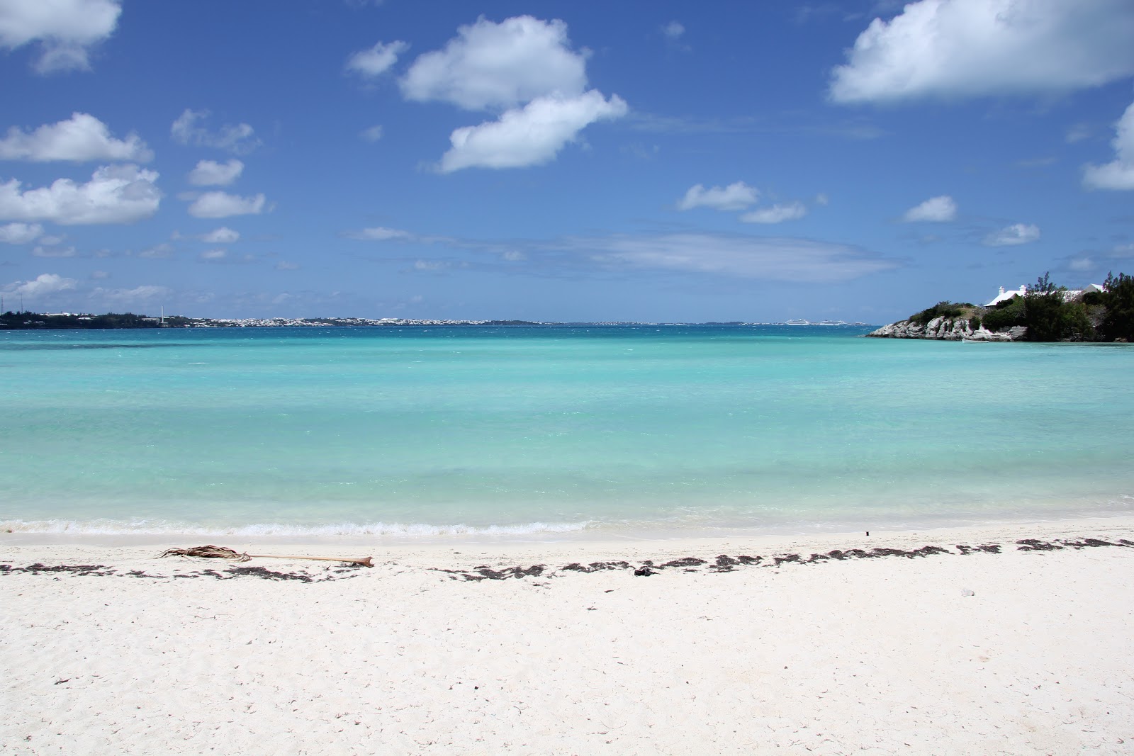 Shelly Bay Beach'in fotoğrafı vahşi alan