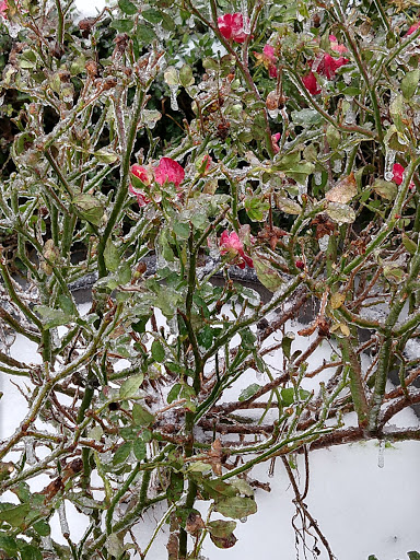 Movie Theater «Park Plaza Cinema», reviews and photos, 33 Office Park Rd #201, Hilton Head Island, SC 29928, USA