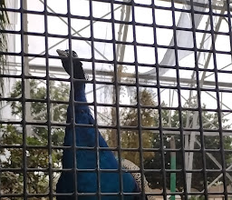 RECREATIVO DR. RODOLFO TORRE CANTÚ Park photo