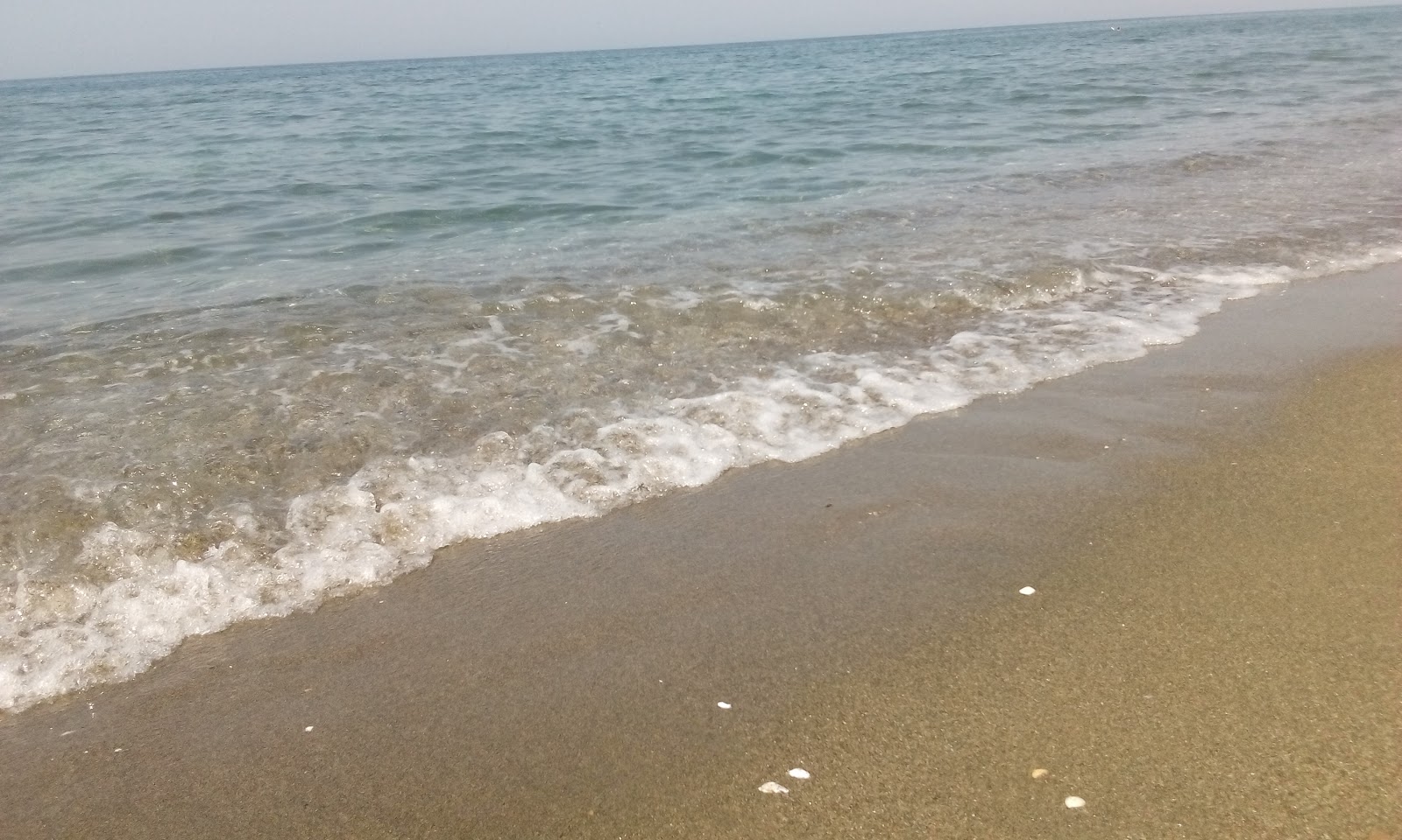 Foto de Malkara beach - bom local amigável para animais de estimação para férias