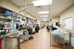 BluePearl Pet Hospital