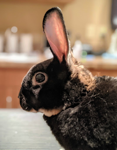 13783 Ibis St NW # 800, Andover, MN 55304, USA