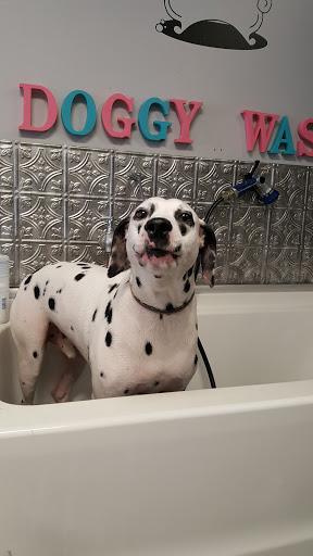 Shaggy Chic Grooming