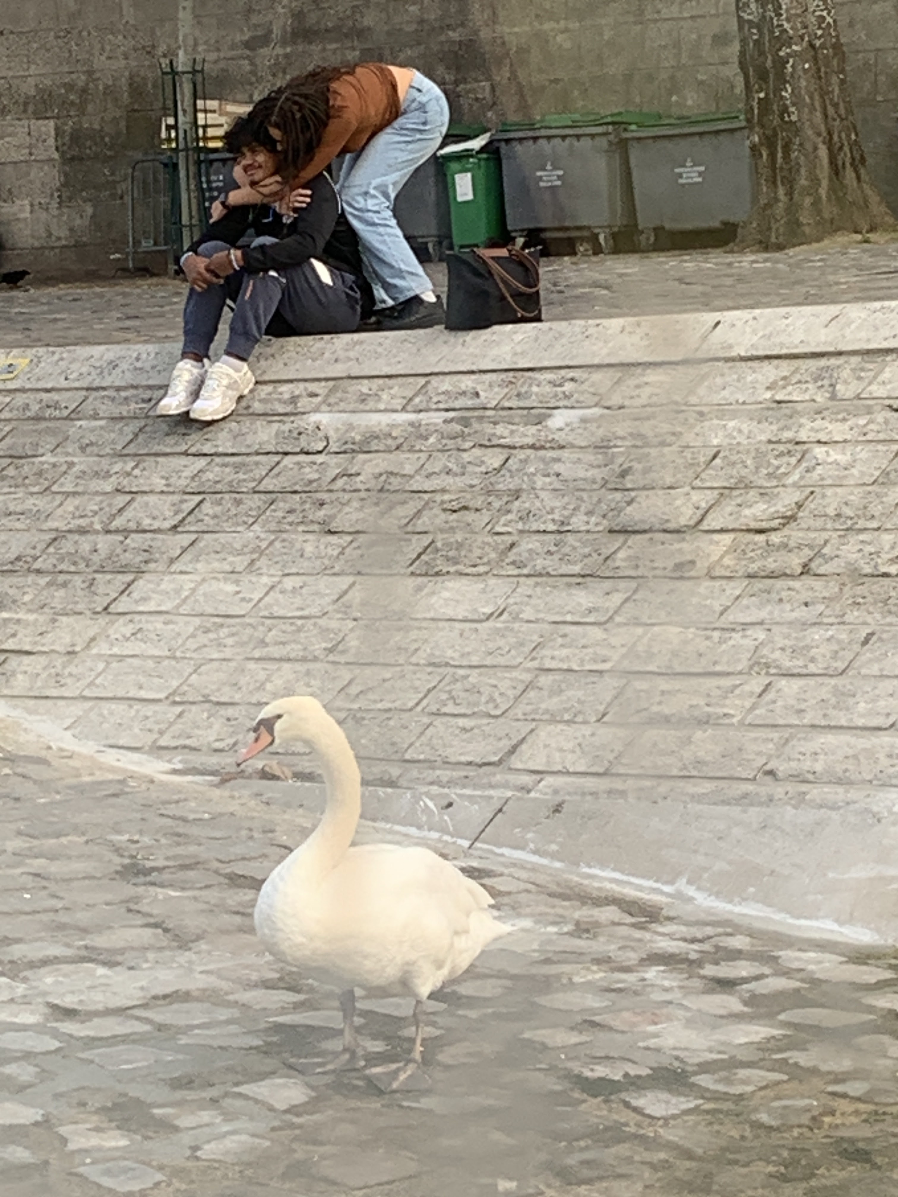 Photo n° 2 de l'avis de Joanne.e fait le 19/10/2023 à 00:10