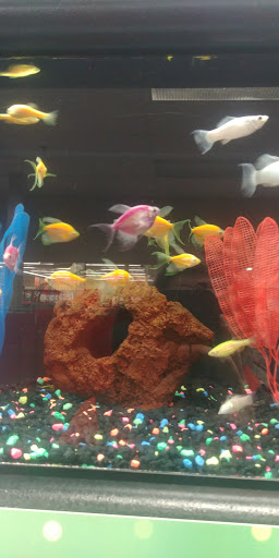 Pet Supply Store «Petco Animal Supplies», reviews and photos, 8775 SW Tualatin-Sherwood Rd, Tualatin, OR 97062, USA