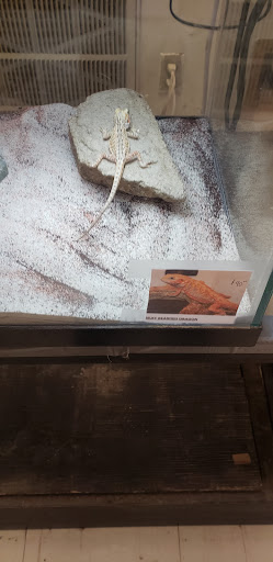 Pet Supply Store «Pet Shop», reviews and photos, 1833 S 10th St, Independence, KS 67301, USA