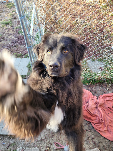 Pet Supply Store «Petco Animal Supplies», reviews and photos, 3115 Iowa St, Lawrence, KS 66046, USA