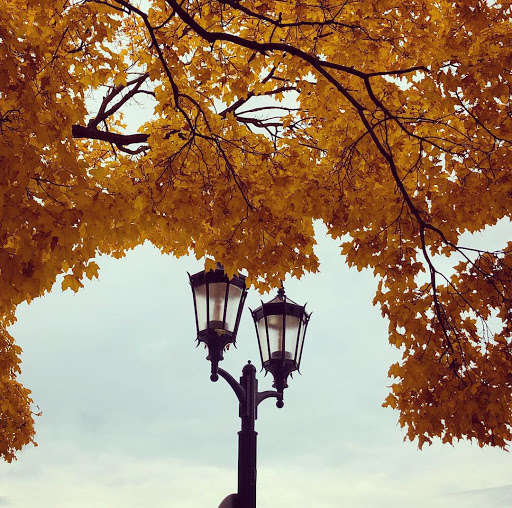 Museum «Elmhurst History Museum», reviews and photos, 120 E Park Ave, Elmhurst, IL 60126, USA