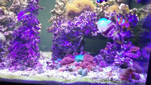 Tanks Pet Supply, 628 S Main St, Princeton, IL 61356, USA, 