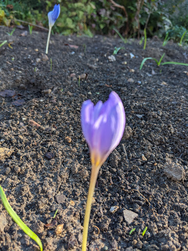 Museum «Smithsonian Castle», reviews and photos, 1000 Jefferson Dr SW, Washington, DC 20560, USA