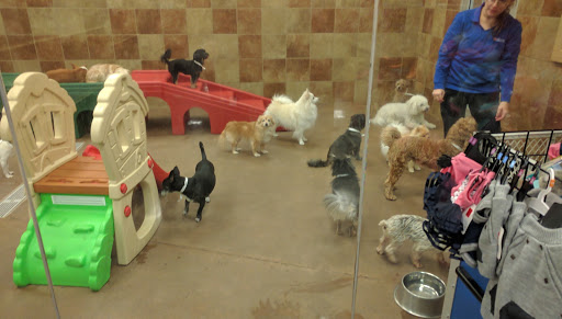 Pet Supply Store «PetSmart», reviews and photos, 100 108th Ave NE, Bellevue, WA 98004, USA