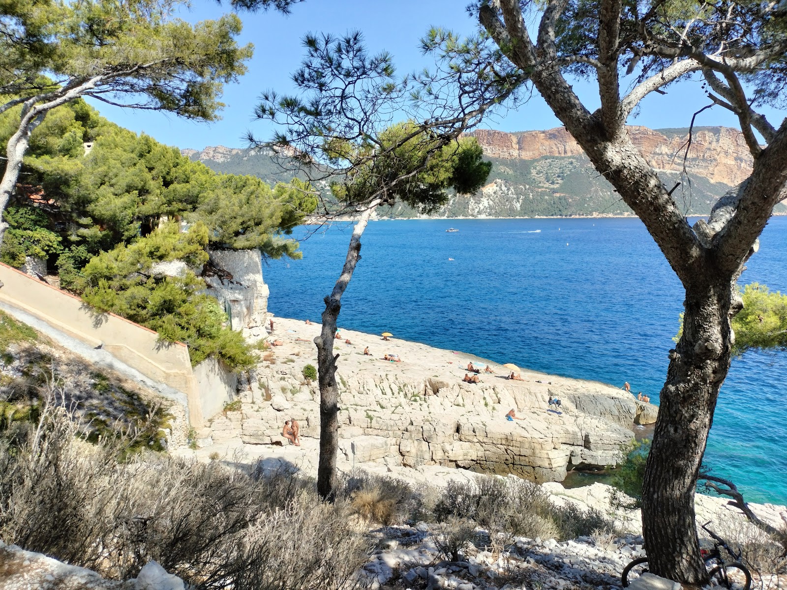 Plage naturiste Reco Max'in fotoğrafı çok temiz temizlik seviyesi ile