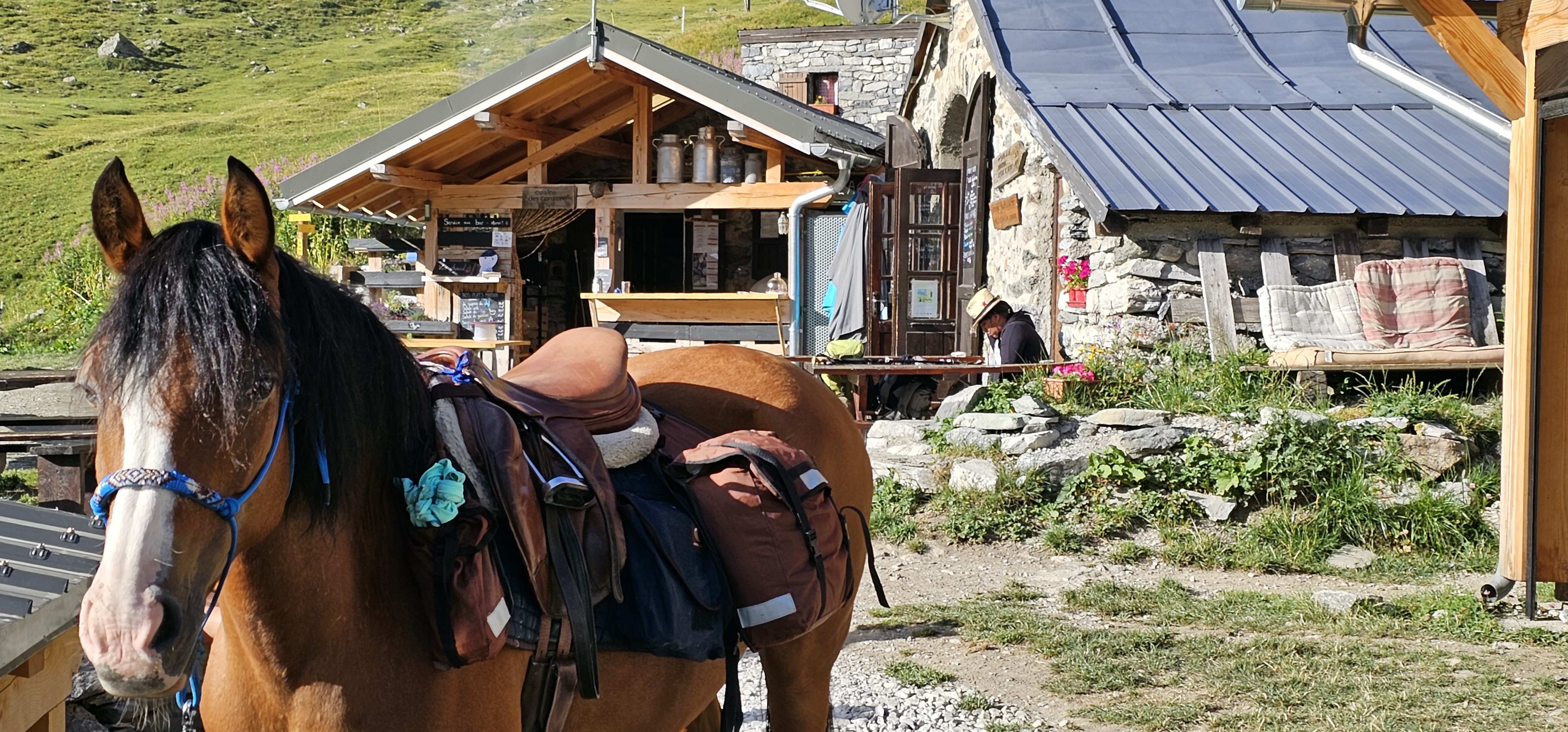 Photo n° 2 de l'avis de Marion.e fait le 25/08/2023 à 15:17
