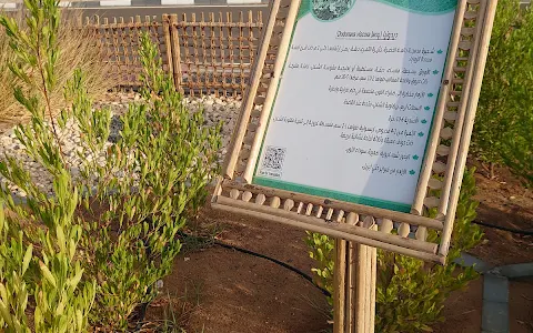حديقة النباتات المحلية (ممشي عشارج ) image