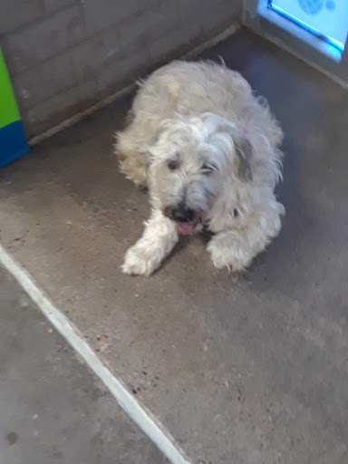 Pet Supply Store «Atlas Pet Supply», reviews and photos, 12761 Central Ave NE, Blaine, MN 55434, USA