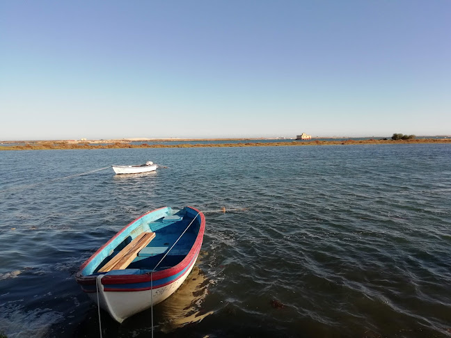 Opinii despre Artur Faustino - Transportes, Unipessoal Lda. în Olhão - Serviço de transporte