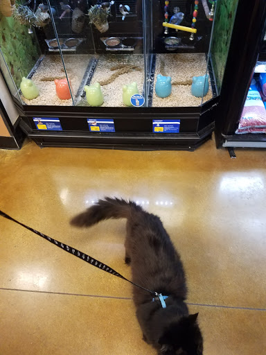 Pet Supply Store «PetSmart», reviews and photos, 2730 Pacific Coast Hwy, Torrance, CA 90505, USA