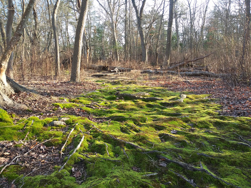 Nature Preserve «Seatuck Environmental Association», reviews and photos, 550 S Bay Ave, Islip, NY 11751, USA