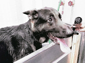 Misha's Pets of LC & Self Serve Dog Wash