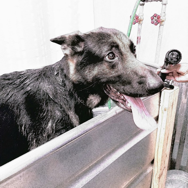 Misha's Pets of LC & Self Serve Dog Wash