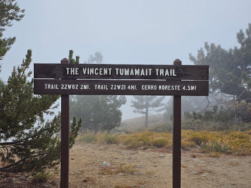 Mt. Pinos Hiking Trail