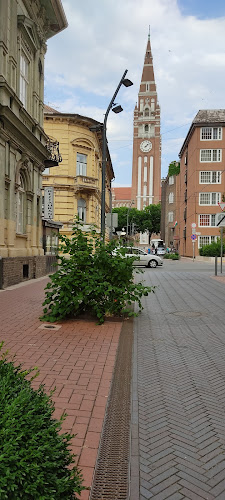 Klinikai Gyógyszerészeti Intézet, Szegedi Tudományegyetem, Gyógyszerésztudományi Kar - Szeged