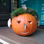 Photo n°2 de l'avis de Pfalz.i fait le 27/10/2018 à 09:54 sur le  Hütte am Hilschweiher à Edenkoben