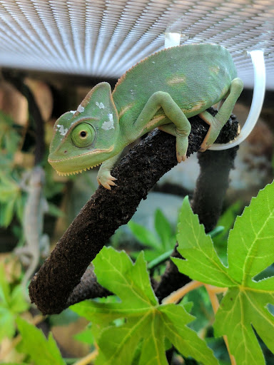 Pet Supply Store «Petco Animal Supplies», reviews and photos, 18200 NW Evergreen Pkwy, Beaverton, OR 97006, USA