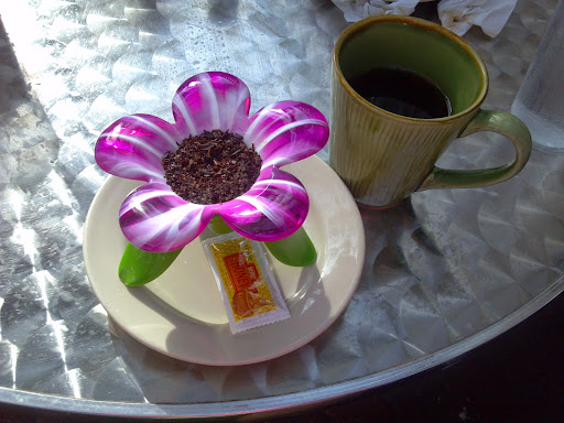 Cafe «Mosquito Cafe», reviews and photos, 628 14th St, Galveston, TX 77550, USA