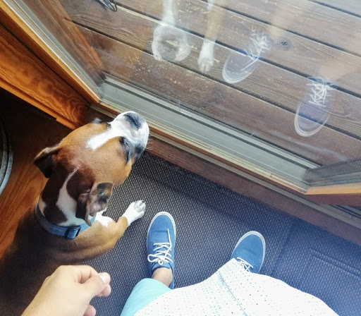 Vineyard «Stone Mountain Vineyards», reviews and photos, 1376 Wyatt Mountain Rd, Dyke, VA 22935, USA