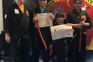 Cervizzi's Martial Arts Academy of Andover image