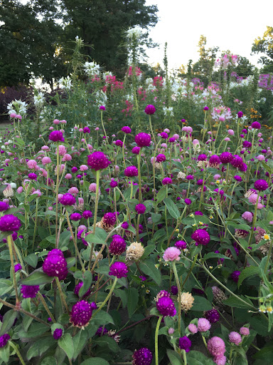 Park «Inspiration Point Park», reviews and photos, 4901 Sheridan Blvd, Denver, CO 80212, USA