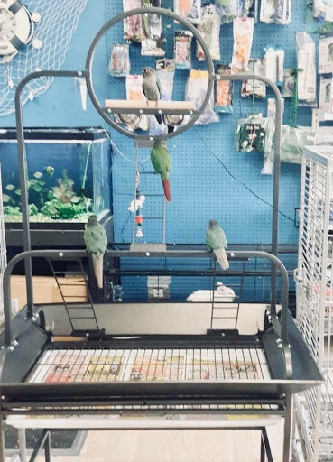 Pet Supply Store «Neighborhood Pet Shop», reviews and photos, 574 Hialeah Dr, Hialeah, FL 33010, USA