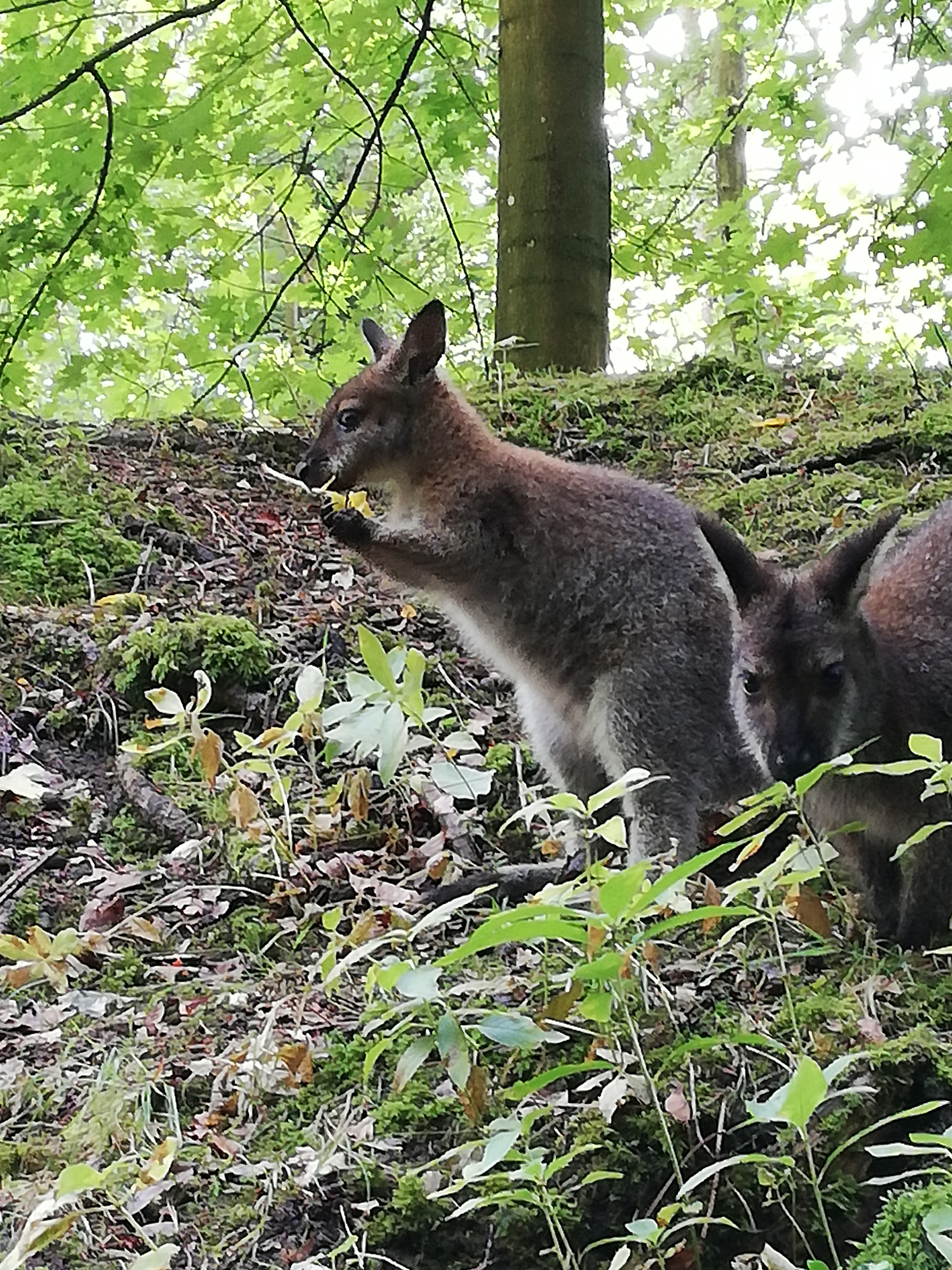 Photo n° 10 de l'avis de Emilie.i fait le 13/08/2020 à 15:47