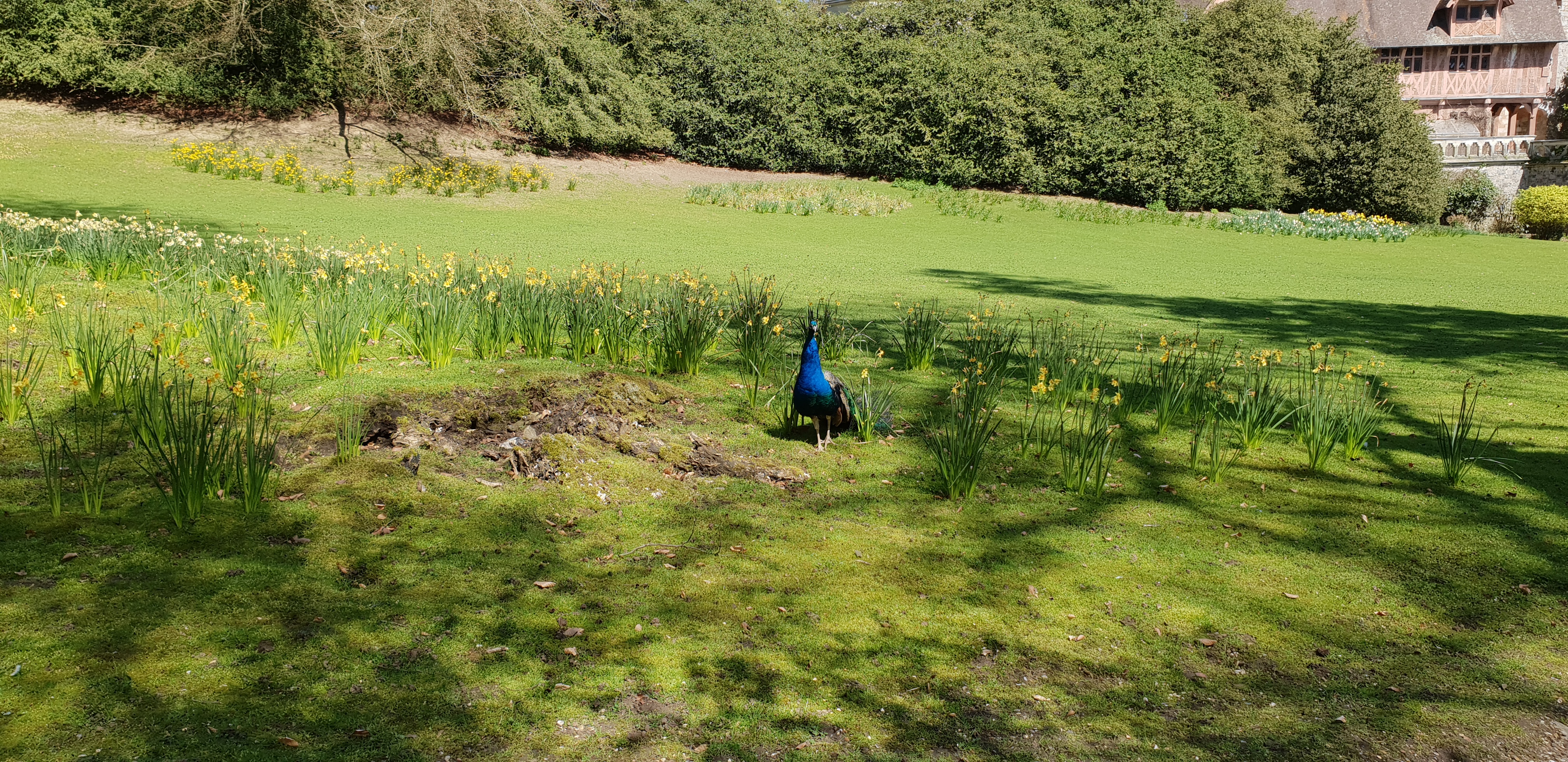 Photo n° 23 de l'avis de Dominique.A fait le 18/04/2018 à 14:35