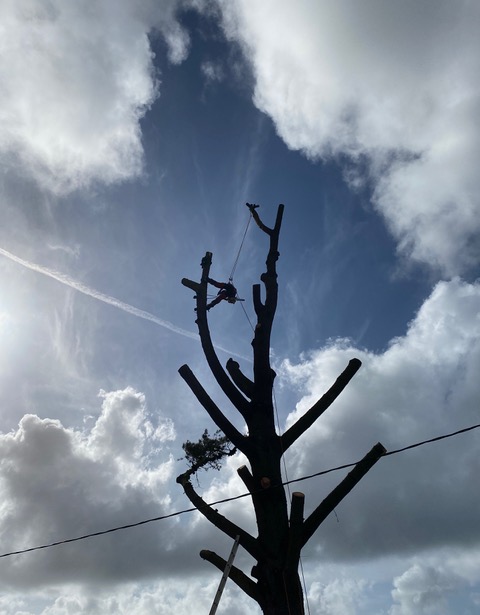 Photo n° 1 de l'avis de Marc.e fait le 15/05/2023 à 18:07