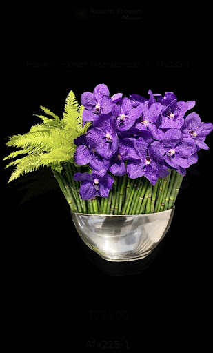 Florist «Amazing Flowers Miami», reviews and photos, 252 Sunny Isles Blvd #2b, Sunny Isles Beach, FL 33160, USA