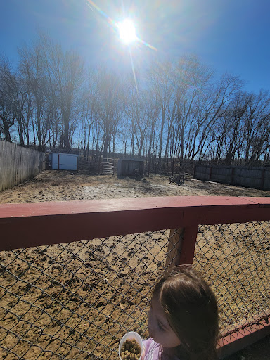 Zoo «3 Palms Zoo & Education Center», reviews and photos, 924 Blackbird Forest Rd, Clayton, DE 19938, USA