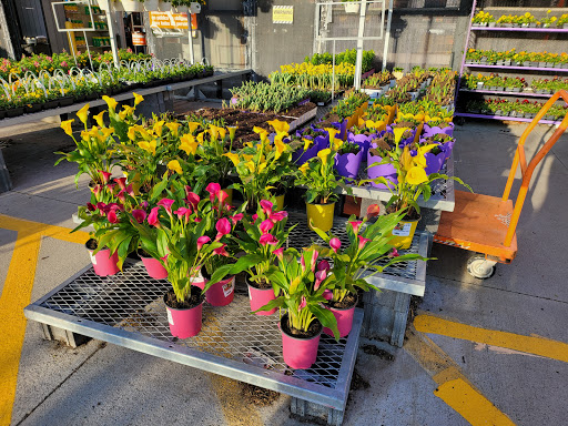 Home Improvement Store «The Home Depot», reviews and photos, 230 Oak Lee Dr, Ranson, WV 25438, USA