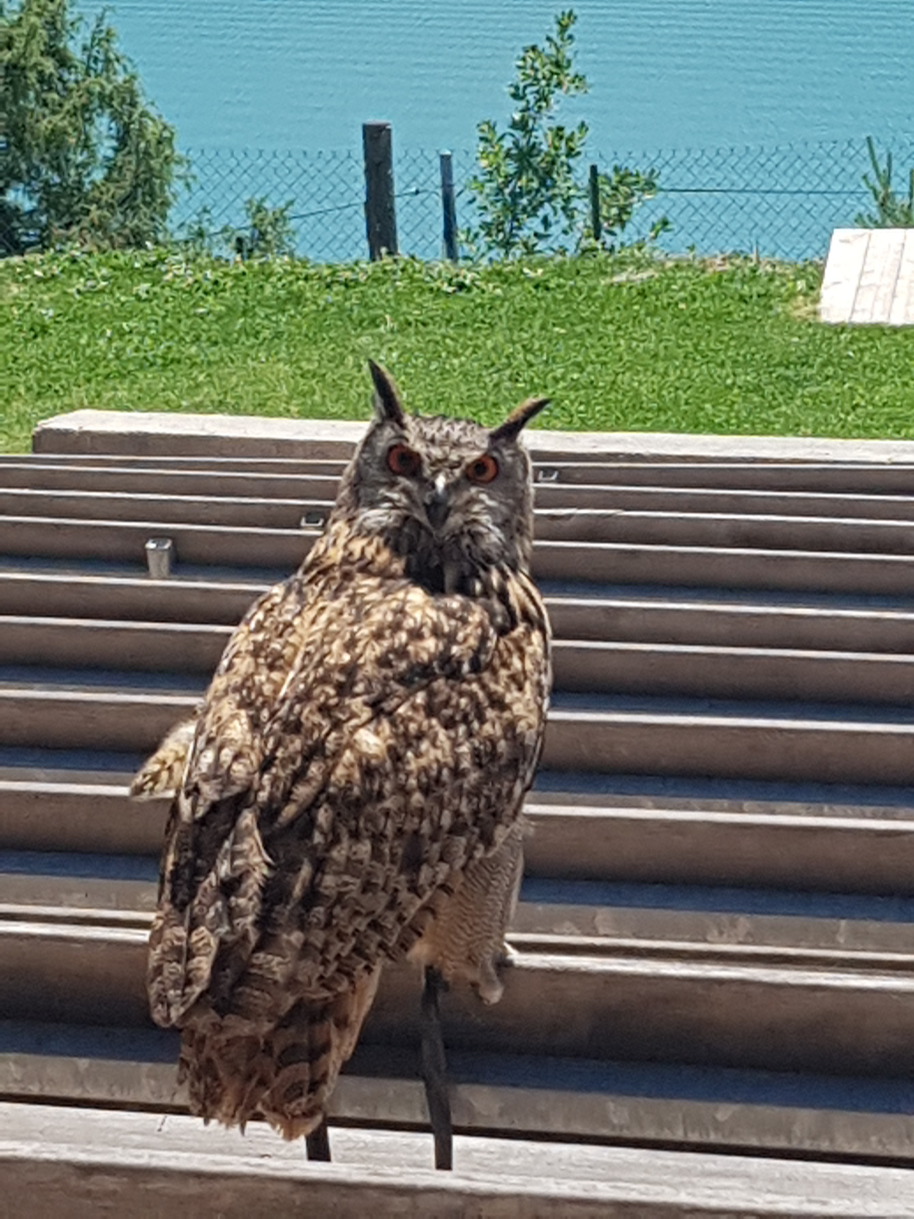 Photo n° 1 de l'avis de Lucien. fait le 12/06/2021 à 19:07