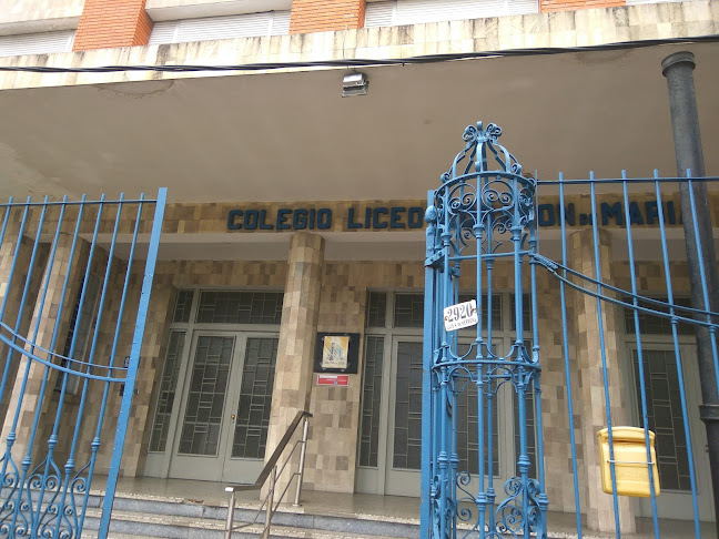 Colegio y Liceo Corazón de María - Universidad