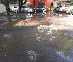 Bikram Yoga San Angel photo